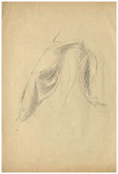 Visualizza l'immagine "FD D 620"